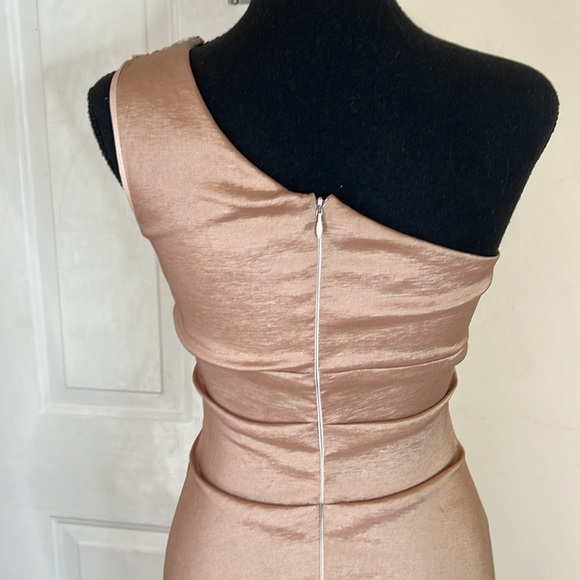 Cache blush pink champagne beaded one shoulder ruched mini dress size 2 - Picture 6 of 10